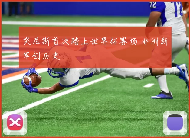 突尼斯首次踏上世界杯赛场 非洲新军创历史