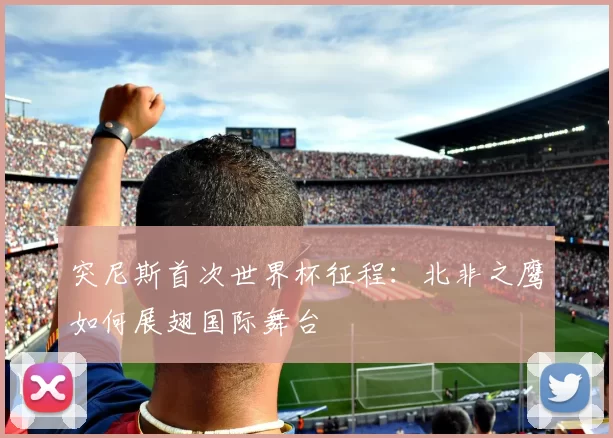 突尼斯首次世界杯征程：北非之鹰如何展翅国际舞台