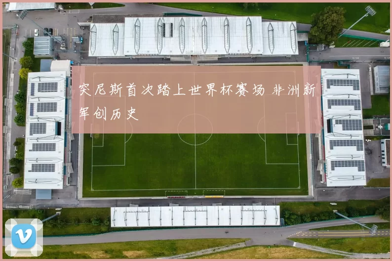 突尼斯首次踏上世界杯赛场 非洲新军创历史