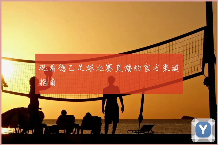 观看德乙足球比赛直播的官方渠道指南