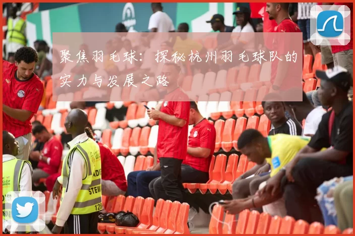 聚焦羽毛球：探秘杭州羽毛球队的实力与发展之路