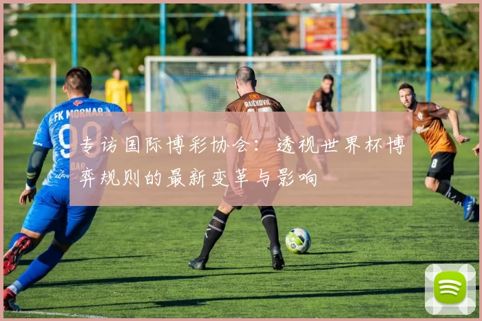 专访国际博彩协会：透视世界杯博弈规则的最新变革与影响