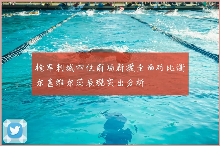 枪军刺城四位前场新援全面对比谢尔基维尔茨表现突出分析