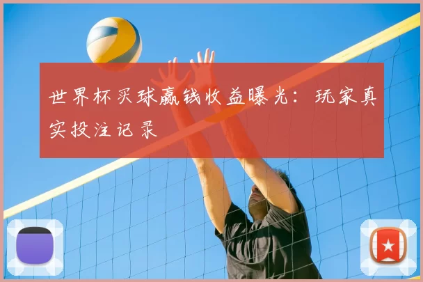世界杯买球赢钱收益曝光：玩家真实投注记录