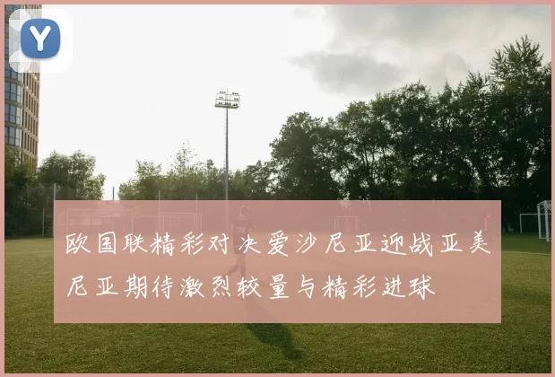 欧国联精彩对决爱沙尼亚迎战亚美尼亚期待激烈较量与精彩进球