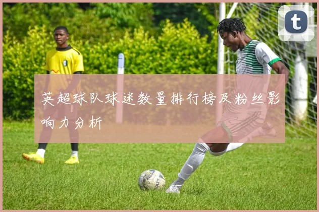 英超球队球迷数量排行榜及粉丝影响力分析